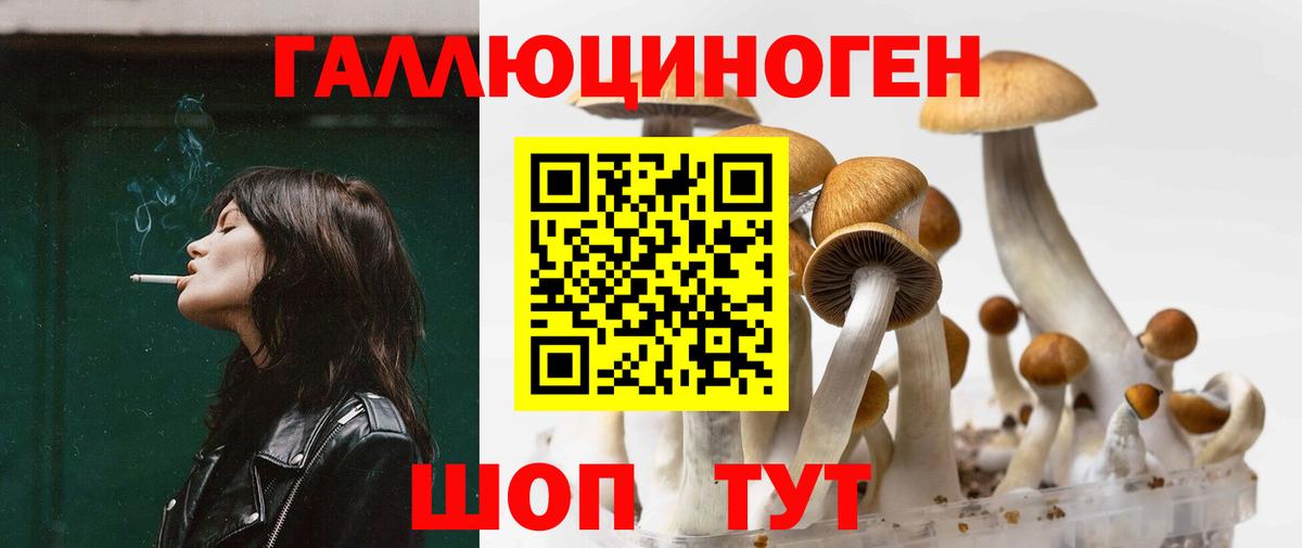 Галлюциногенные грибы мухоморы Жуковский